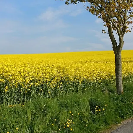 Ferien An Der Ostsee Appartement